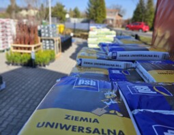 PSB Mrówka Express Lipowa