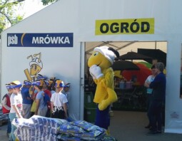 PSB Mrówka Płońsk