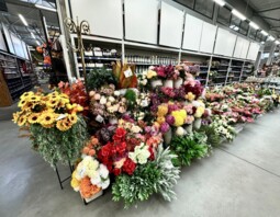 PSB Mrówka Baranów k. Kępna