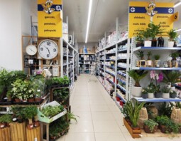 PSB Mrówka Ostrowiec Świętokrzyski
