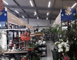 PSB Mrówka Złotoryja