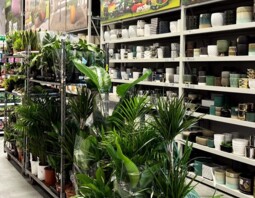 PSB Mrówka Sędziszów ul. Majowa